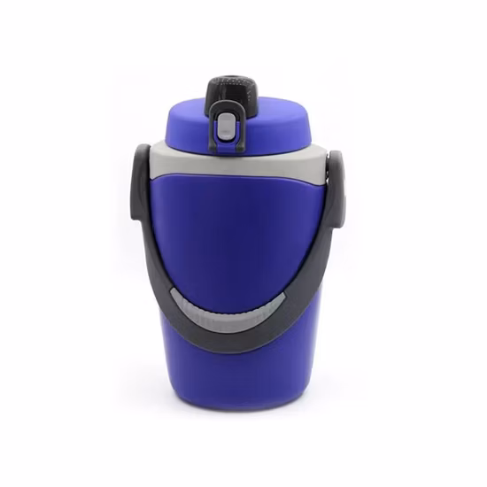 Pichet de refroidisseur d'eau de Camping isolé en plastique de couleur personnalisée imperméable de haute qualité