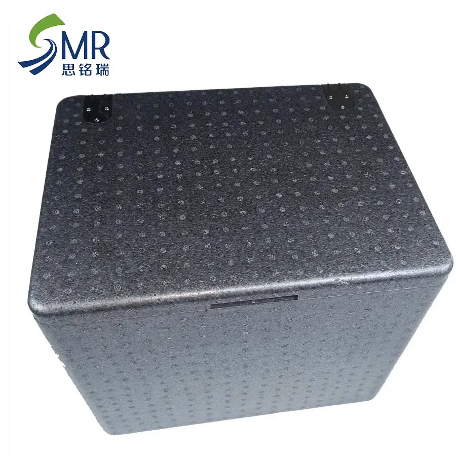 Boîte de livraison de nourriture en mousse EPP, boîte de glacière fraîche, boîte de mousse EPP, boîte de livraison de glacière