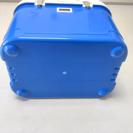 Boîte à rabat en mousse pliable EPP pour chaîne du froid, refroidisseur isolé sans glace, boîte EPP